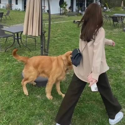 铁马豪情的日子